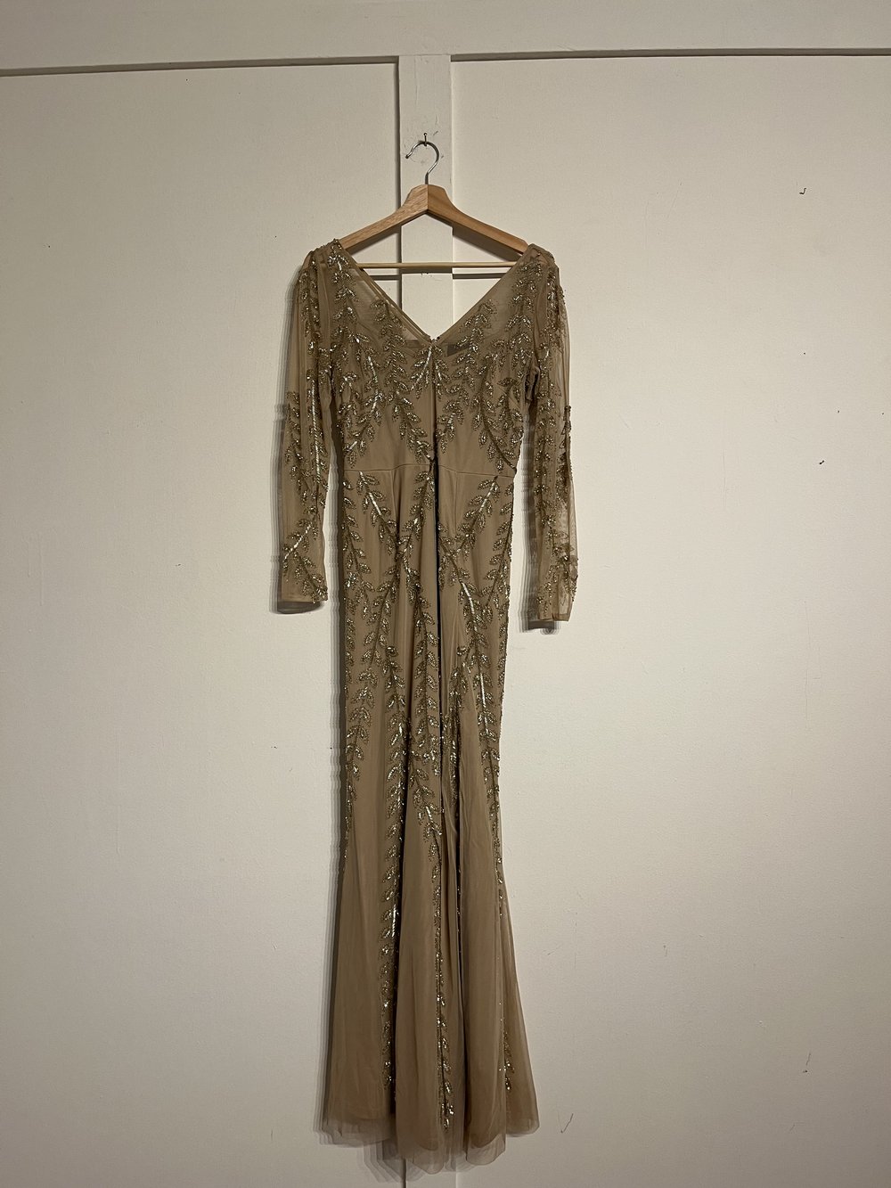 2010's Adrianna Papell Mesh Gown