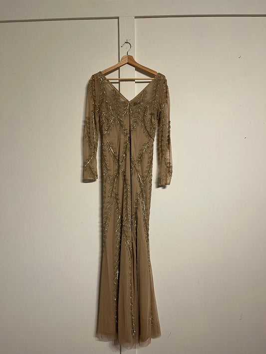 Full shot of 2010's Adrianna Papell Mesh Gown hanging on hanger