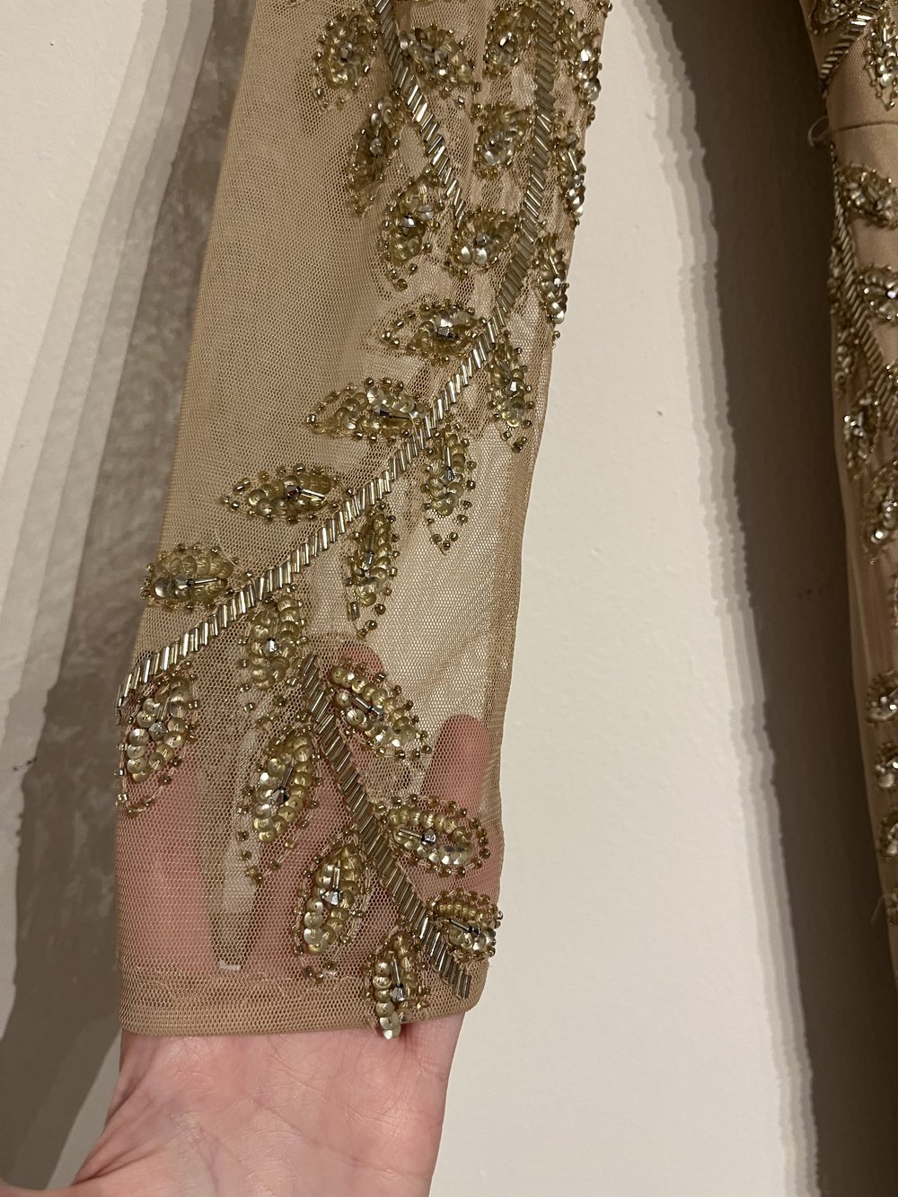 2010's Adrianna Papell Mesh Gown